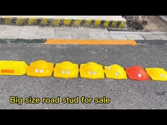 con ngựa đường lớn mắt mèo