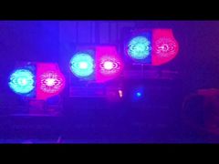 Đèn đường năng lượng mặt trời 2 màu